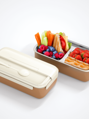 Stainless Steel Bento Box Lunch Box and Snack Container for Kids and Adults with Spoon